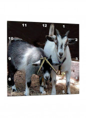 Pygmy Goat Printed Wall Clock Multicolour 13 x 13inch