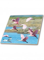 Roseate Spoonbills Themed Decorative Tile Multicolour