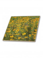 Black Eyed Susan Ceramic Tile Multicolour 12  x 12inch