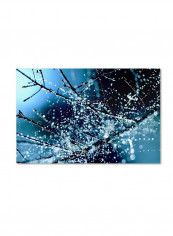 Blue Rhapsody Artwork Canvas Wall Art Multicolour 12 x 19inch