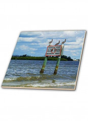 Pelicans On Manatee Sign Printed Decorative Tile Blue/Green/White