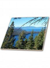 Fallen Leaf Lake Printed Decorative Wall Hanging Tile Multicolour