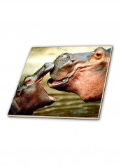 Mama Hippo and Her Baby Ceramic Tile Multicolour 12 x 12inch