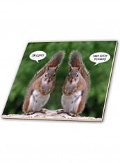 Squirrel Humor Decorative Tile Multicolour 12x12x0.25inch