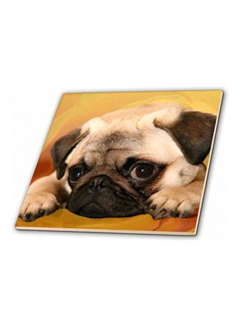 Pug Ceramic Tile Multicolour