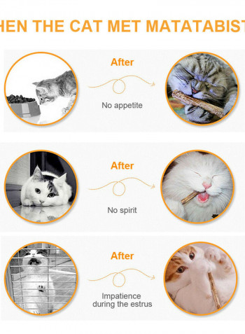 Dental Cleaning For Cats Multicolour