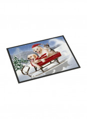 Dogs And Kitten In Sled Need For Speed Indoor/Outdoor Mat Multicolour 11 x 11inch