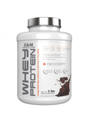 Whey Protein With Rich Chocolate Flavour