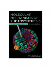 Molecular Mechanisms Of Photosynthesis Paperback 2