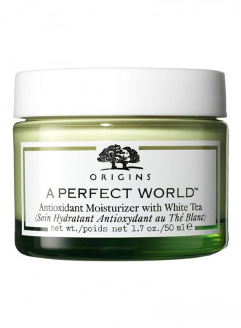 Perfect World Antioxidant Moisturiser With White Tea 50ml