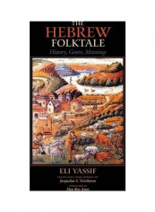 The Hebrew Folktale: History, Genre, Meaning Hardcover