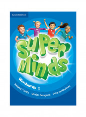 Super Minds Wordcards 1 Paperback