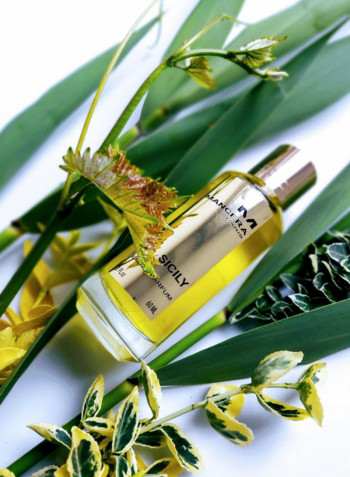 عطر سيسلي 120مل