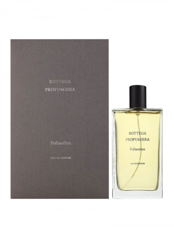 طقم هدية عطور بوليانثيس (Polianthes EDP 100 ml, Polianthes EDP 30 ml, Roma EDP & Funnel)