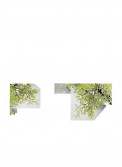 Decorative Removable Wall Sticker Multicolour reviews Decorative Removable Wall Sticker Multicolour