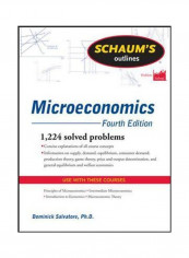 Schaum's Outline Of Microeconomics: 1224 Solved Problems Paperback 4