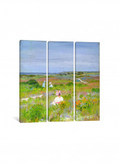 3-Piece Canvas Print Shinnecock, Long Island Wall Art Multicolour 100 x 100 x 3.5centimeter