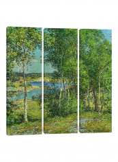 3-Piece Canvas Print A Family Of Birches Wall Art Multicolour 100 x 100 x 3.5centimeter