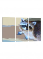 3-Piece Canvas Print Racoon Wall Art Multicolour 230 x 153 x 3.5centimeter