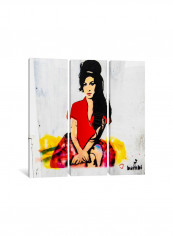 3-Piece Banksy Bambi, The Female Canvas Painting Set Multicolour 100x100x3.5centimeter