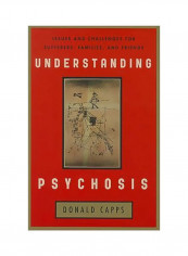 Understanding Psychosis: Issues And Challenges For Sufferers, Families, And Friends Paperback