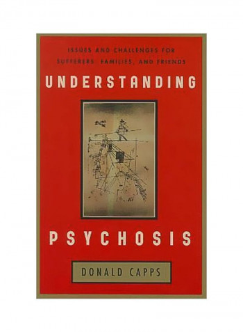 Understanding Psychosis: Issues And Challenges For Sufferers, Families, And Friends Paperback