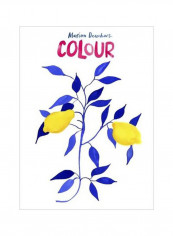 Colour Hardcover reviews Colour Hardcover