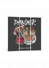 3-Piece Canvas Print Tiger And The Rose Wall Art Multicolour 100 x 100 x 3.5centimeter