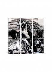 3-Piece Banksy Crazy Horse Shootout Canvas Painting Set White/Black 100x100x3.5centimeter