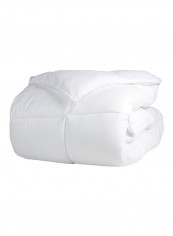 Alternative Comforter White Full/Queen