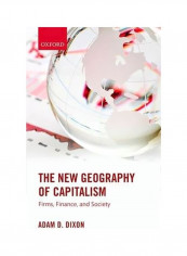 The New Geography Of Capitalism: Firms Finance And Society Paperback