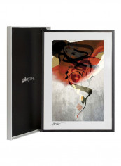 Salaam II Decorative Framed Wall Art Grey/Black/Red 42x59.4centimeter