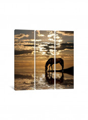 3-Piece Horse Drinking Over Sunrise Canvas Painting Set Multicolour 100x100x3.5centimeter