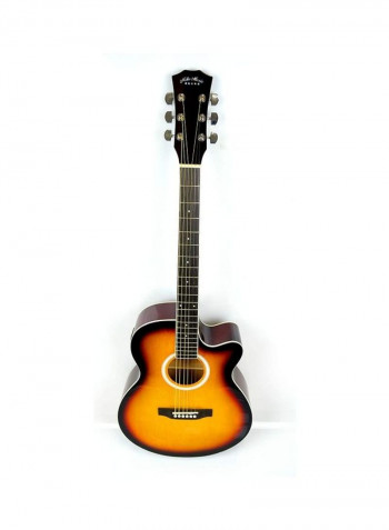 Acoustic Electric Guitar