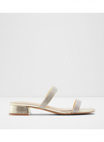 Biliwen Low Heels Sandals Silver
