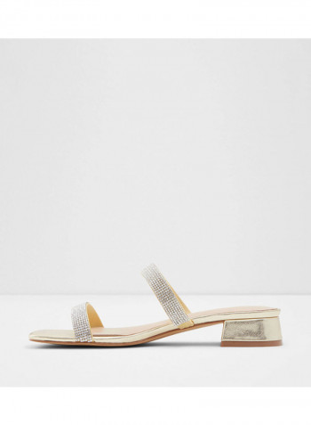 Biliwen Low Heels Sandals Silver