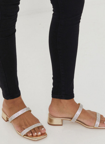Biliwen Low Heels Sandals Silver