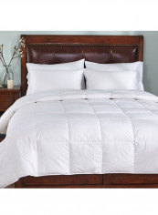 Plain Comforter Microfiber White Double