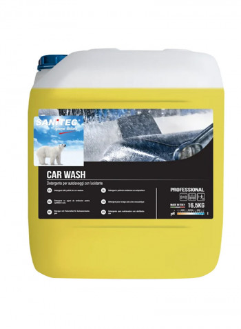 Professional Car Wash Shampoo