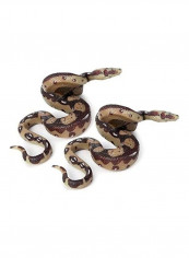 2-Piece Rubber Snake Figure Set