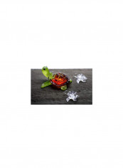 3-Piece Cute Baby Turtles