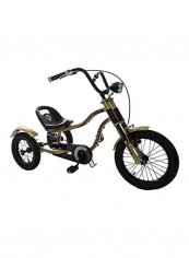 3-Wheel Tricycle
