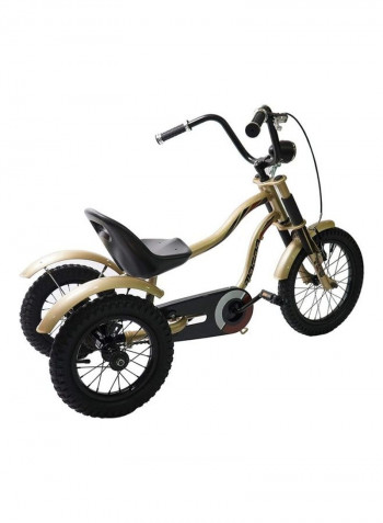 3-Wheel Tricycle