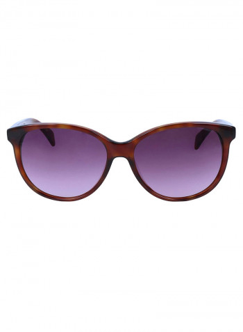 Women's Classic Wayfarer Frame Sunglasses