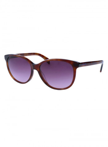 Women's Classic Wayfarer Frame Sunglasses