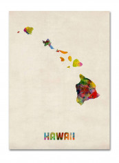 Hawaii Map Canvas Wall Art Multicolour 18 x 24inch