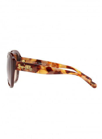 Women's Butterfly Sunglasses