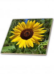 Sunflower Themed Decorative Tile Multicolour reviews Sunflower Themed Decorative Tile Multicolour