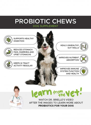 All Natural Advanced Dog Probiotics 90 Chews متعدد الألوان 270غم
