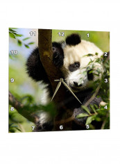 Giant Panda Bear Printed Wall Clock Multicolour 13 x 13inch